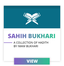 My Sunnah - Sahih Bukhari Hadith
